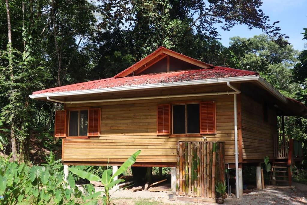 Jungle Beach 2 Bedroom Cottage Bocas del Toro Exteriör bild