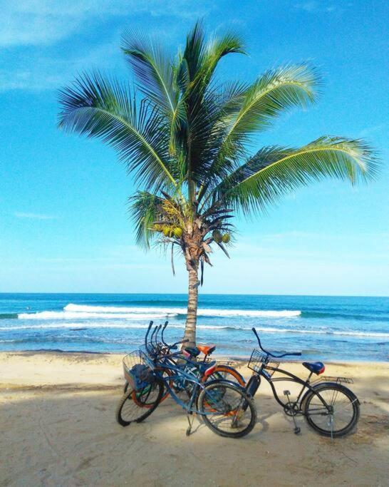Jungle Beach 2 Bedroom Cottage Bocas del Toro Exteriör bild