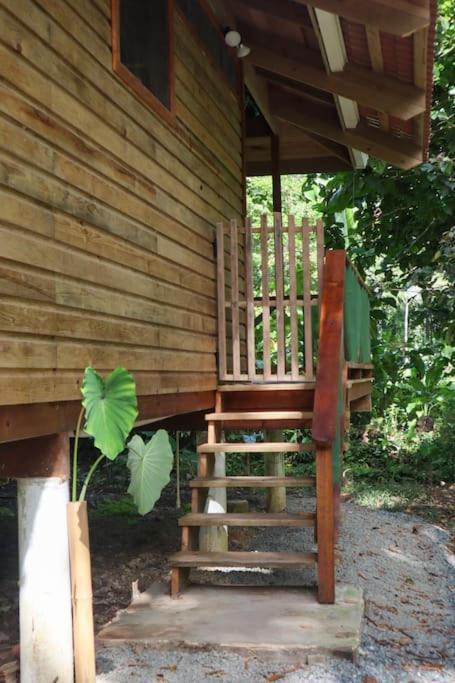 Jungle Beach 2 Bedroom Cottage Bocas del Toro Exteriör bild